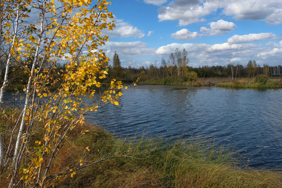 Осенним днем у озера