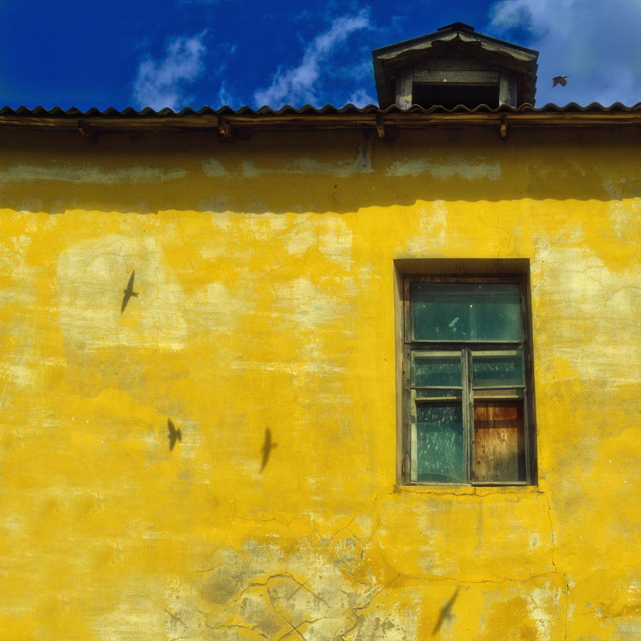 Александр Тутаев_Стрижи