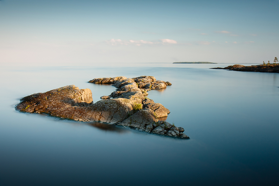 f65d47c8-41e3-43a6-b1a8-191c25a8d5cd