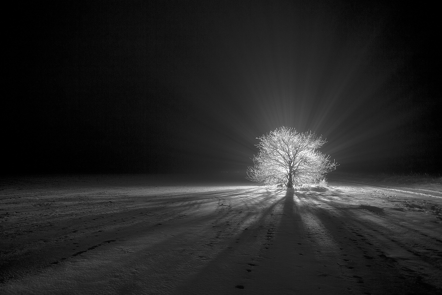 Призрачный воин - фотоконкурс