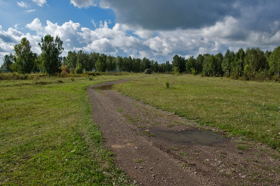 Полевая дорога