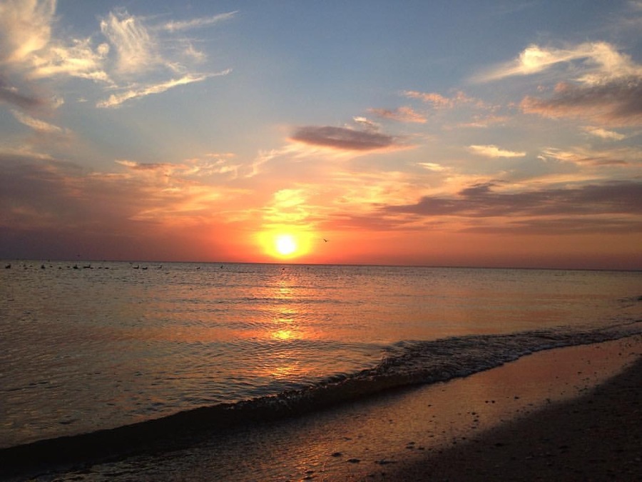 328E91B6-0ABF-4C3A-99CB-843227426559