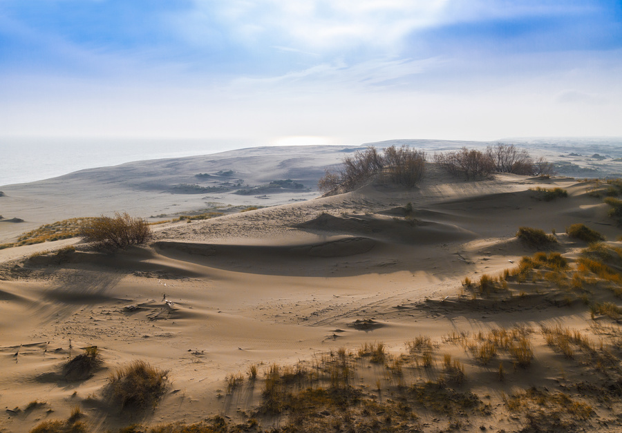 Александр Тутаев_Дюна