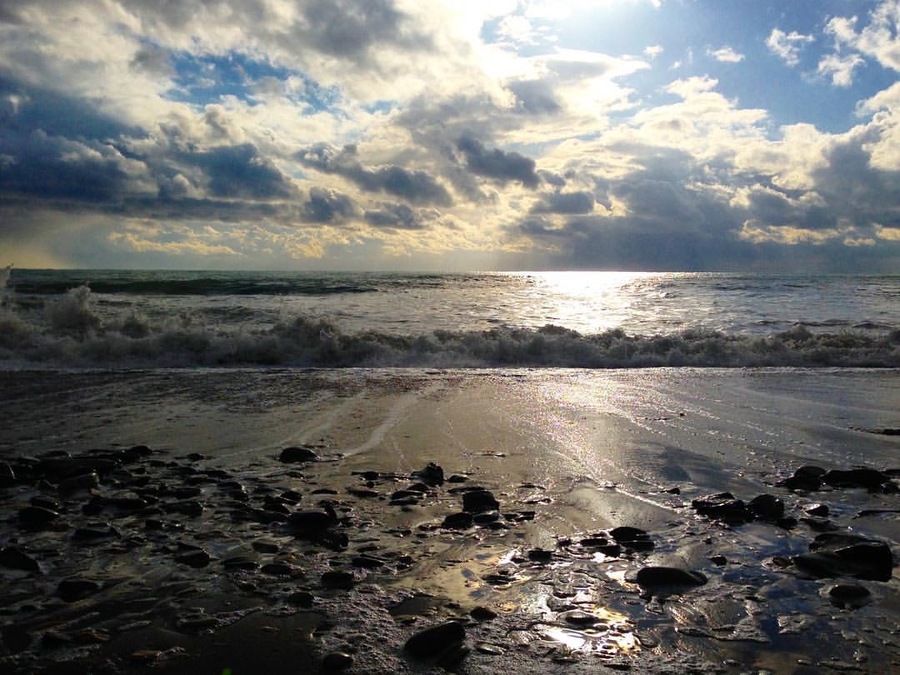 B28466E1-083B-4083-AC90-F093726873CC