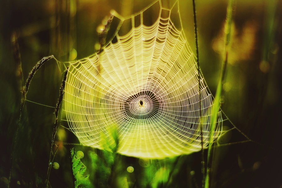 IMG_20170817_203722_845