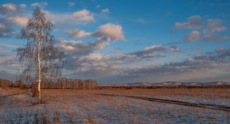 В конце ноября,Сибирь