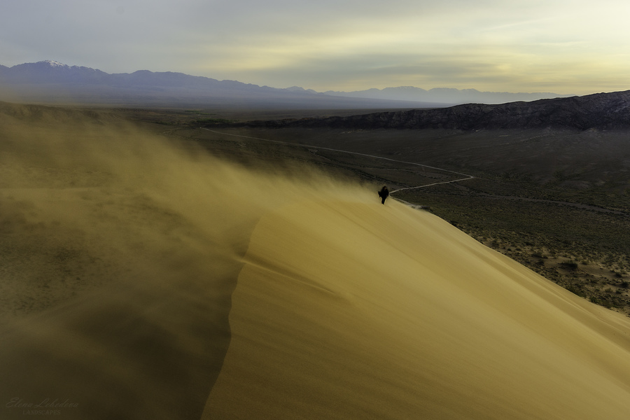 Through the sandstorm