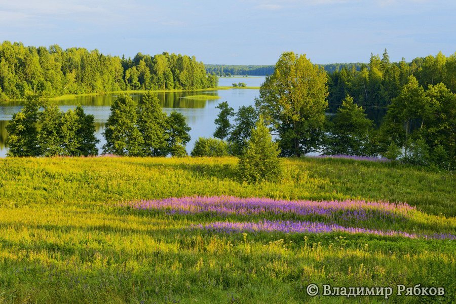 Андреапольские озера 21