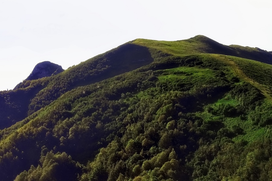 Горные рощи_9_(IMG_9409)