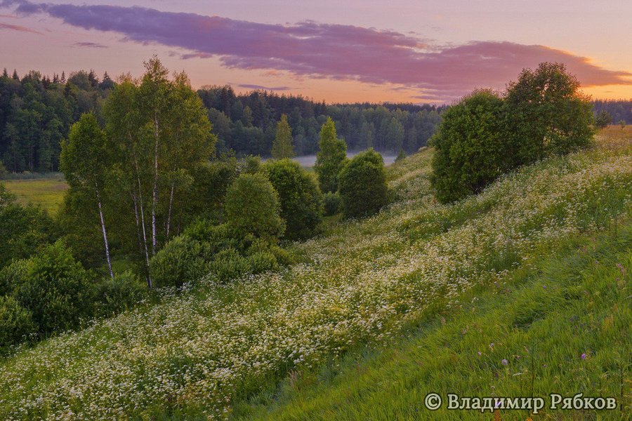 Андреапольские озера 24