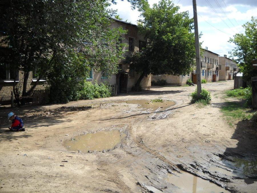 привольное 2009г 096