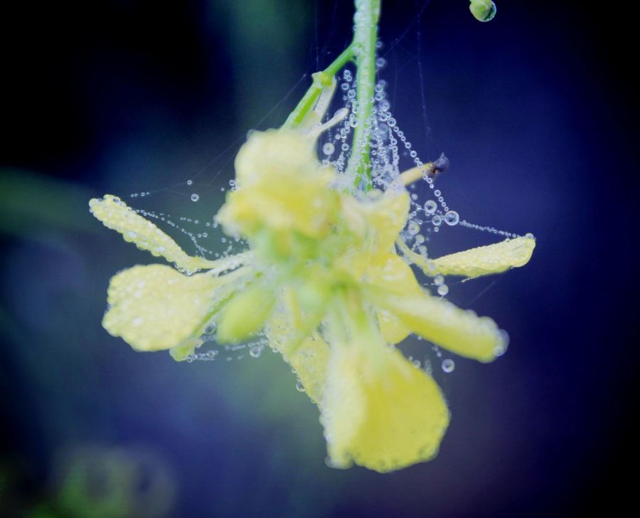 Изображение 411