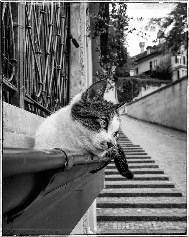 IMG_20170929_004204_299