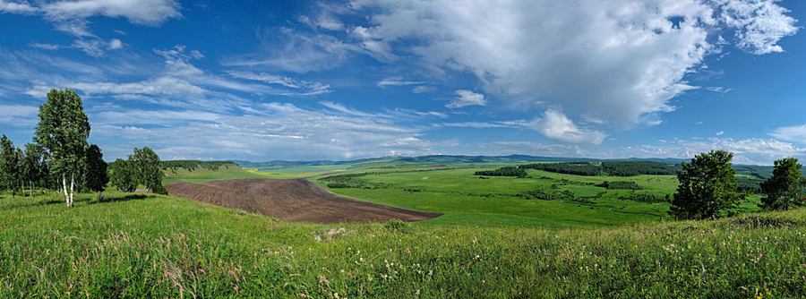 Панорама лета