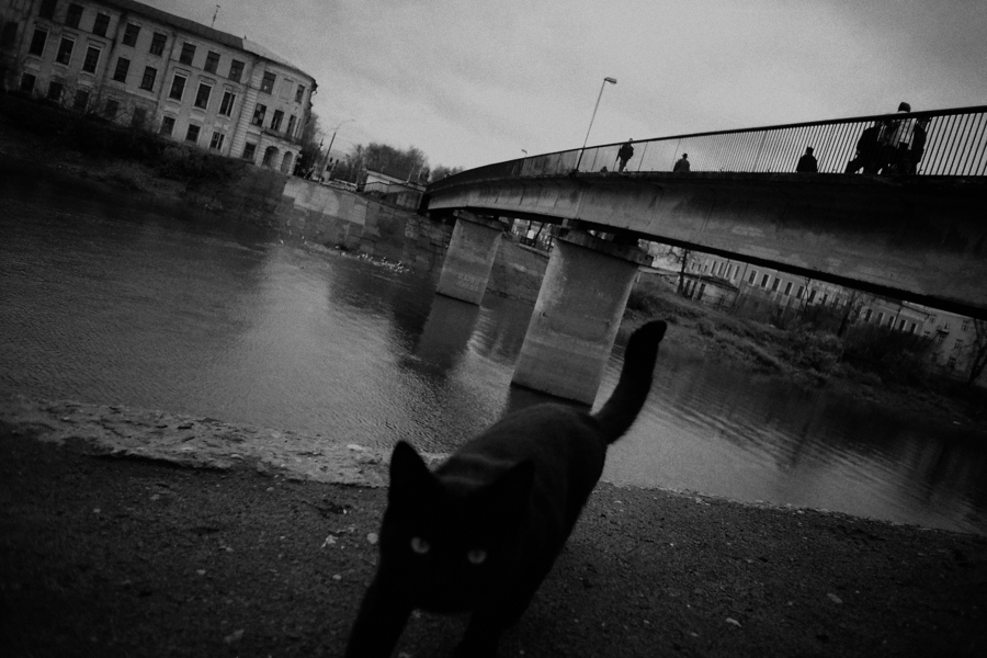 Черный кот...