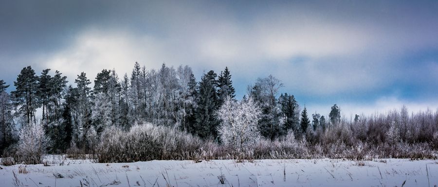 DSC_6730-Панорама
