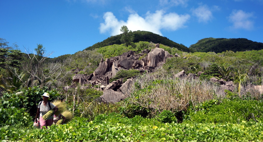 153A2A35-78F0-4FF0-85C5-E0D6D5F3F3DE