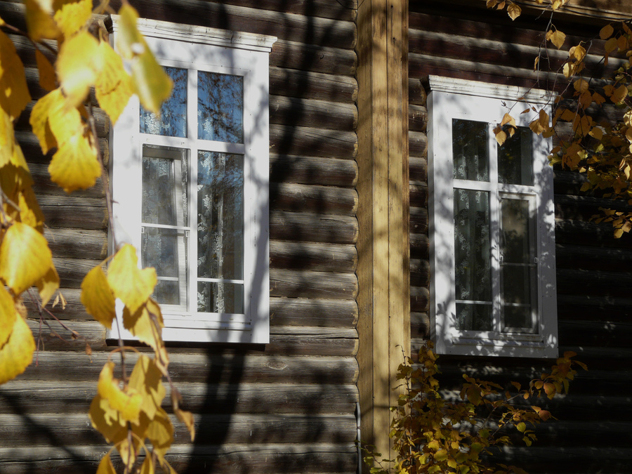 Два окна и осень...322