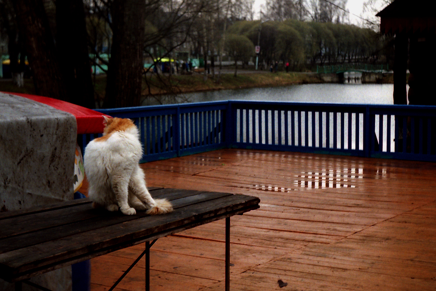 Летнее кафе. Осень...