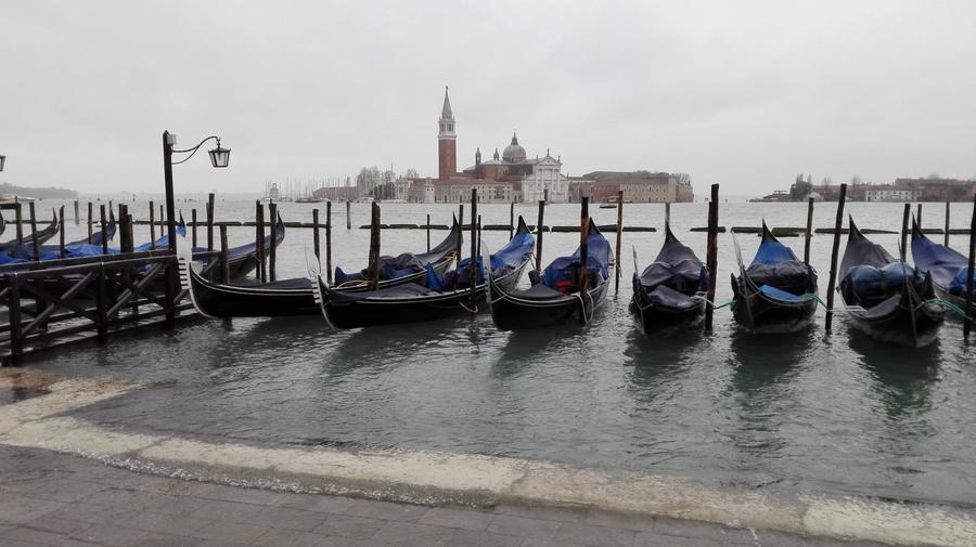 IMG_20141204_121525_1