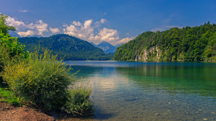 Alpsee at summer