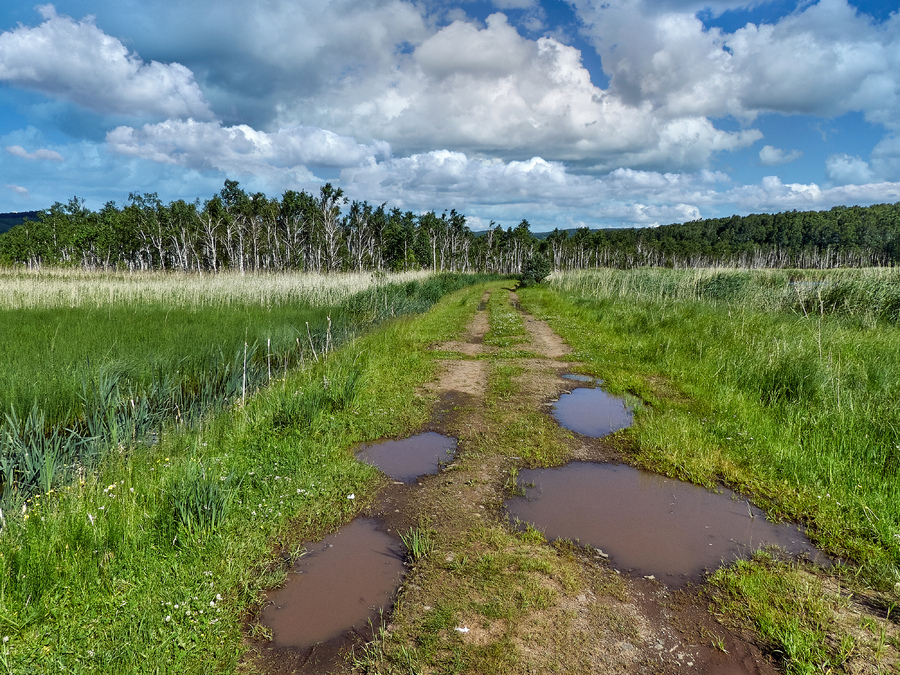 После дождя