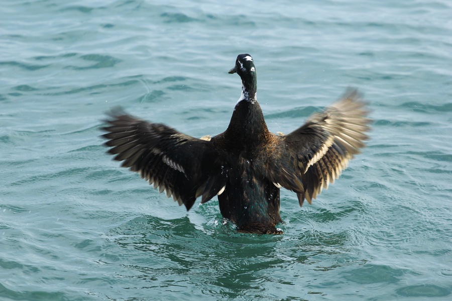 Степанова Елизавета - На взлет
