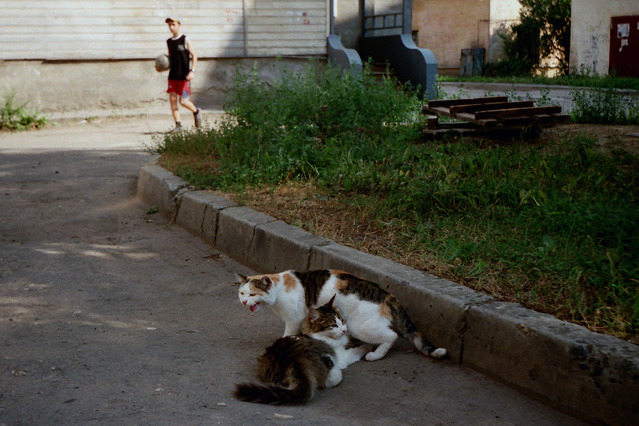 Крик.  (Мунк отдыхает)