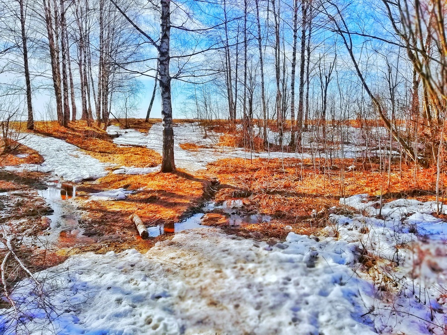 IMG_20190415_082030-01