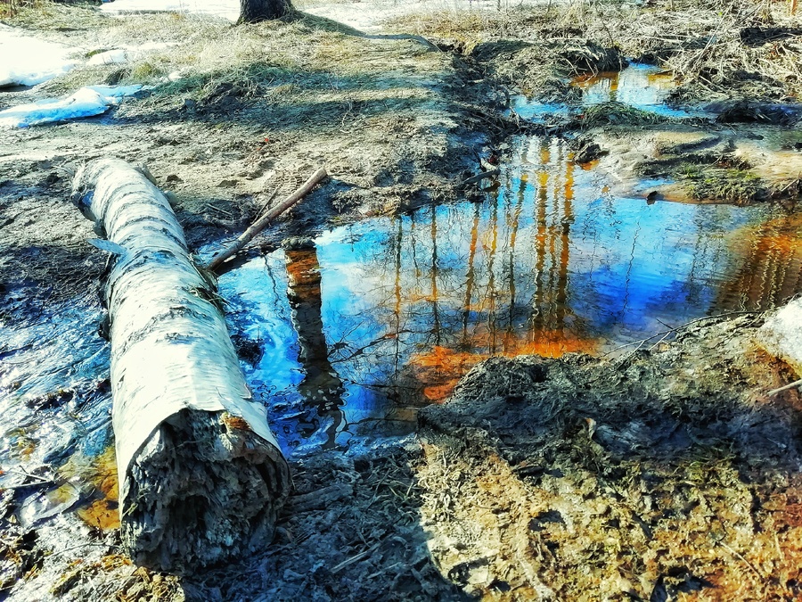 IMG_20190415_082202-01