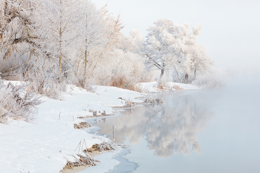 915cb4cb-b687-4c6f-ac52-ecb9fd364dcc