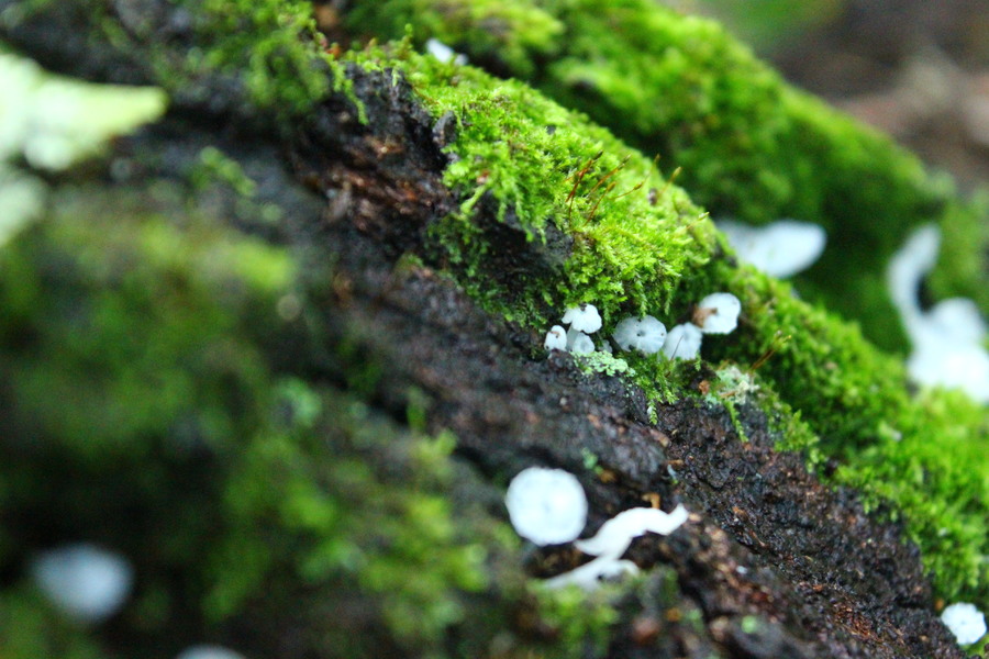 Изображение 456