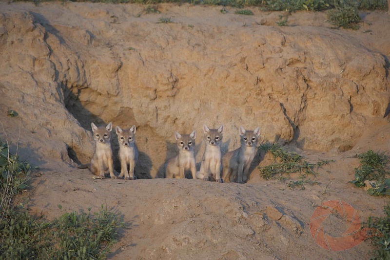 Малеев Валерий (2)