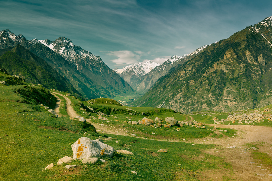 Корова на перевале