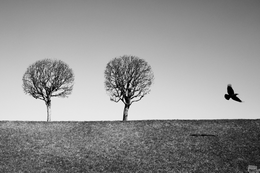Екатерина Уфимцева, Петергоф.Два