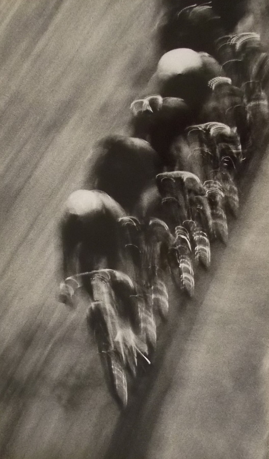 Велогонка, Сенин