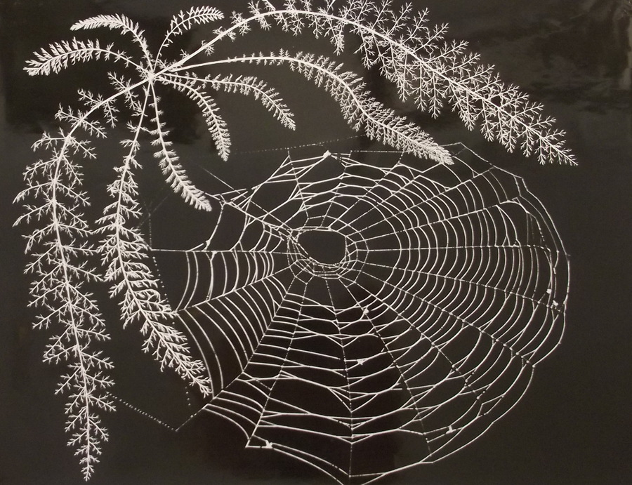 Паутина, В.Е. Маркович