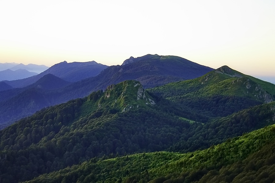 _(Canon EOS 1100D046)