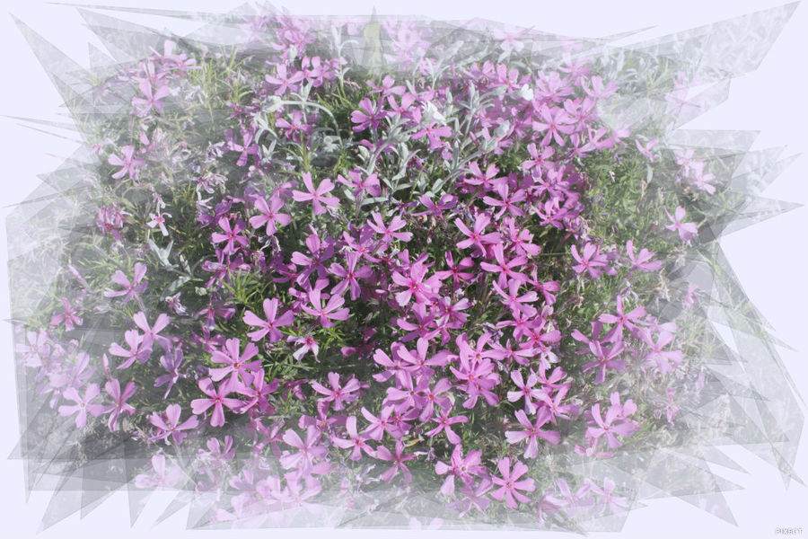 PIXECT-20140224200856