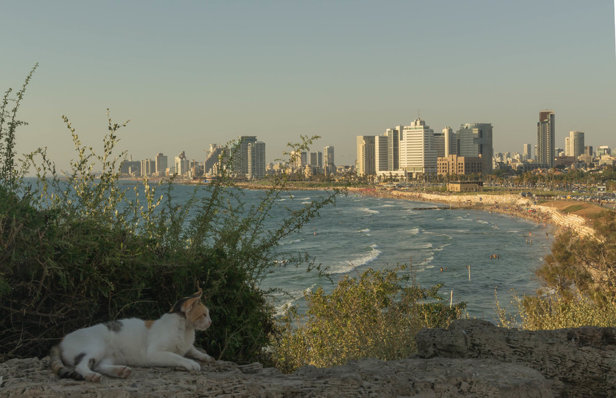 Вид из Яффо на Тель-Авив. Израилью