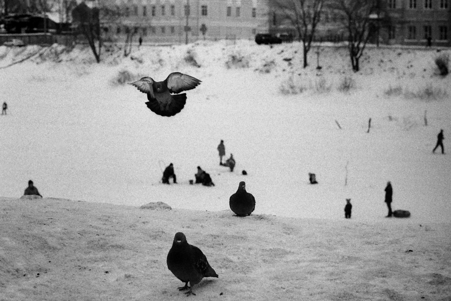 Люди и птицы...Зима.