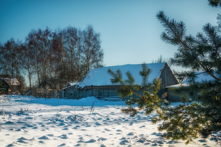 Зимний день в деревне.