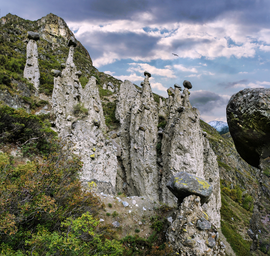 Каменные грибы,Алтай